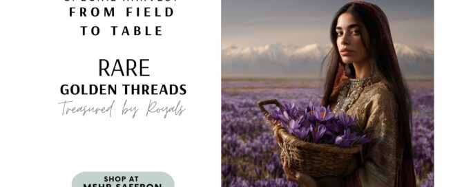Premium all-red saffron from Mehr Saffron, showcased in a beautiful field of purple crocuses, highlighting the rarity and high quality of golden threads treasured by royals for exquisite culinary and decorative uses.